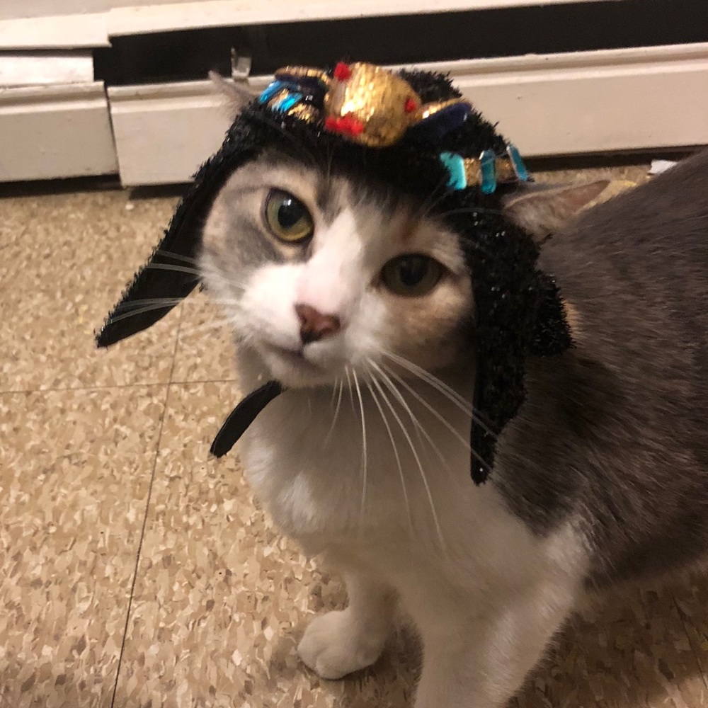 Meet your Posher, Erika